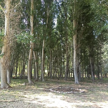 Cabana Ecologica Uspallata Exteriör bild