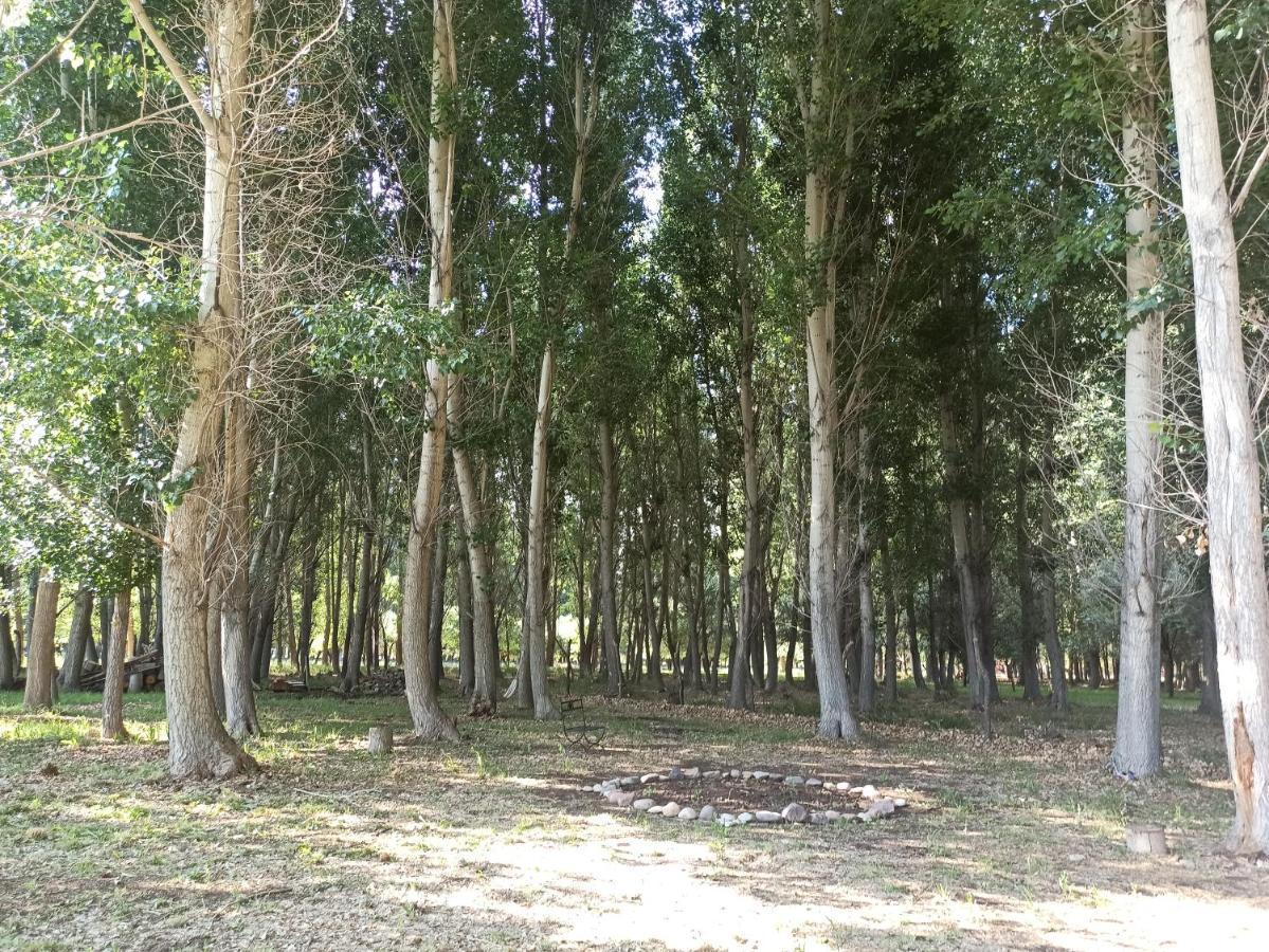 Cabana Ecologica Uspallata Exteriör bild